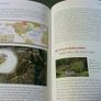 To the ends of the earth Ireland's place in bird migration Ireland Irish Signed Image 9