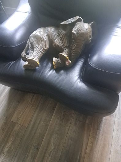 Large Elephant