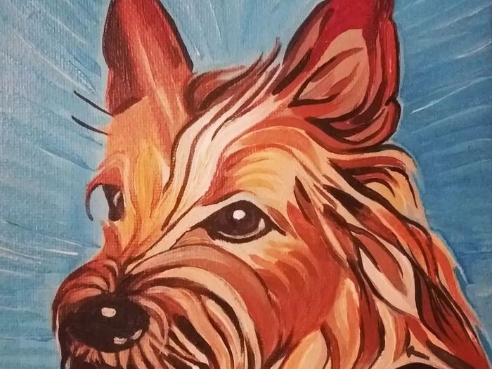 Pet Portraits