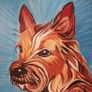 Pet Portraits Image 4