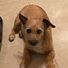 Bellandhopper1@