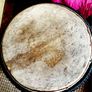 Premium Djembe Image 2