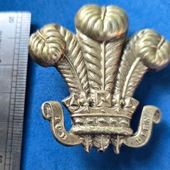 British army - Unknown badge - The Prince of Wales's feathers