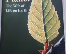 Living Planet fa