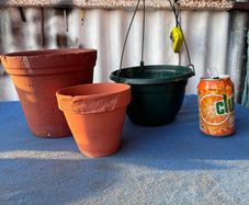 2 terracotta pots and 1 plastic hanging basket