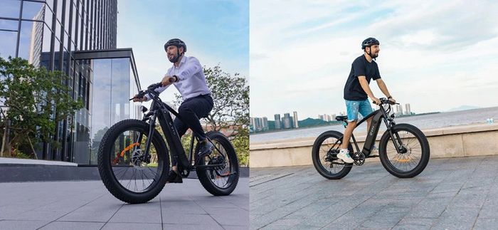 DYU King 750 Mountain E-Bike