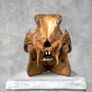 Authentic Hand Carved Wild Boar Skull - Bone Image 3