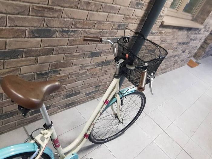 ladies city bike( can deliver)