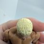wwe Dolph Ziggler action figure Image 6