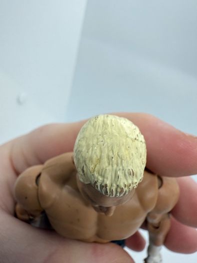 wwe Dolph Ziggler action figure