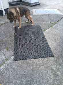 grass ground protector mat