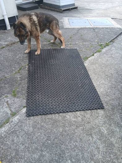 grass ground protector mat