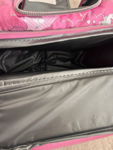 2 school bags and lunch bags all for 20