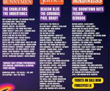 Forest Fest weekend ticket x 1