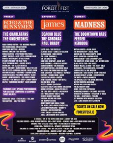 Forest Fest weekend ticket x 1