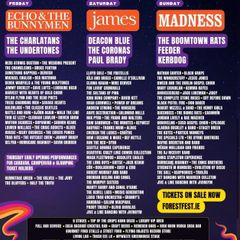 Forest Fest weekend ticket x 1