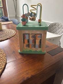 Activity Cube Safari