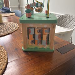Activity Cube Safari