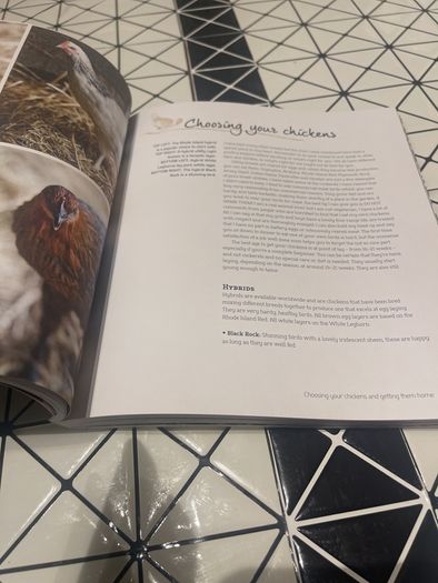 Chickens: The Essential Guide to Choosing and Keeping Happy, Healthy Hens by Suzie Baldwin (