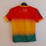carlow gaa jersey Image 4