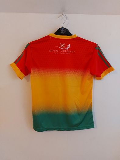 carlow gaa jersey