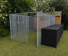 dog run