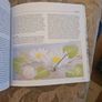 A Burren Journal.  By Sarah Poyntz. Illustrated By Gordon D'arcy & Anne Corff. Large Volume Paperback In Good Condition.  See Photos For Same. Image 8