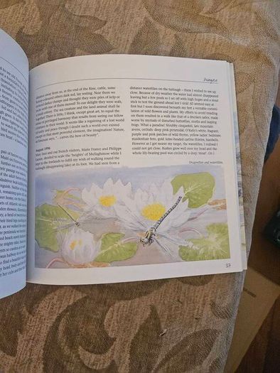 A Burren Journal.  By Sarah Poyntz. Illustrated By Gordon D'arcy & Anne Corff. Large Volume Paperback In Good Condition.  See Photos For Same.