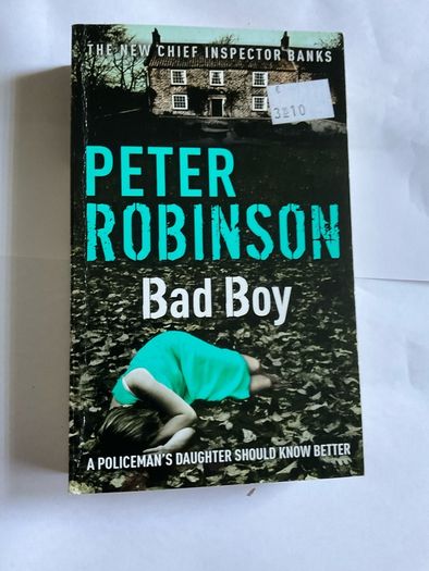 12 x Peter Robinson DCI BANKS crime series no 7 and 13 to 25 or individual