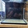 fish tank Image 2