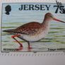 Jersey Mail Sea Birds and Waders Stamps Image 3