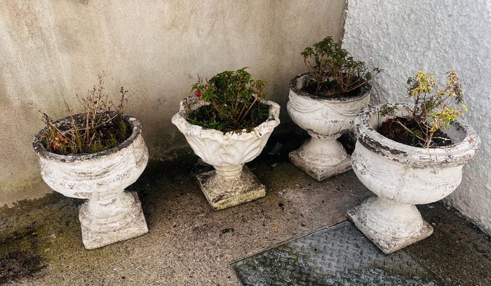 planters