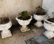 planters