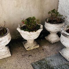 planters