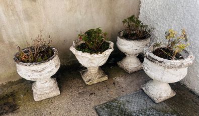 planters