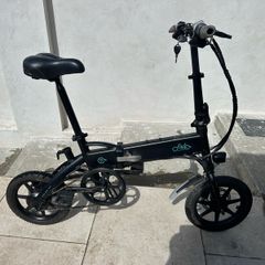Fiido D1 Electric Bike