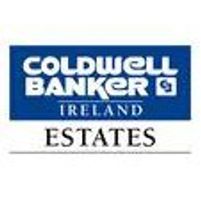 Coldwell Banker Estates_2 Jobs in Ireland