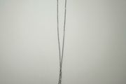 New Dolphin Necklace
