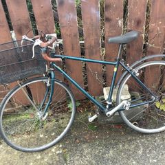 18 speed raleigh