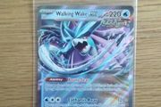 Pokemon card