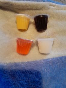 Reptile jelly pots