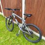 Mtb Image 2