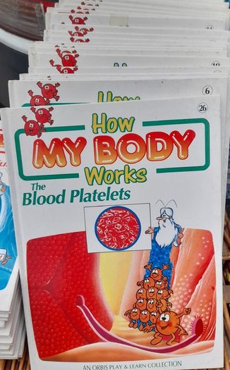 How My Body Works