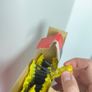 timco screws Image 2