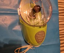 Salter Mini Chopper Pro Model EK2182LDL in new unused condition
