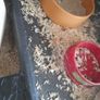 Hamster cage + full hamster kit Image 10