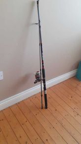 Fishing rod