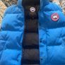 Canada Goose Image 3