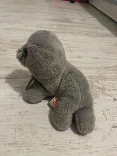 teddies