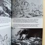 Wellington the years of the sword by Countess Elizabeth Longford 1972 hardback with dustcover in good used condition see photos FREE STANDARD POSTAGE INCLUDED Image 3